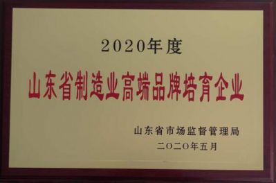 2020年山東省制造業高端品牌培育企業